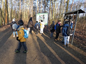 Spacer po Sieradzu w ramach Zimowego Ptakoliczenia 2025, 